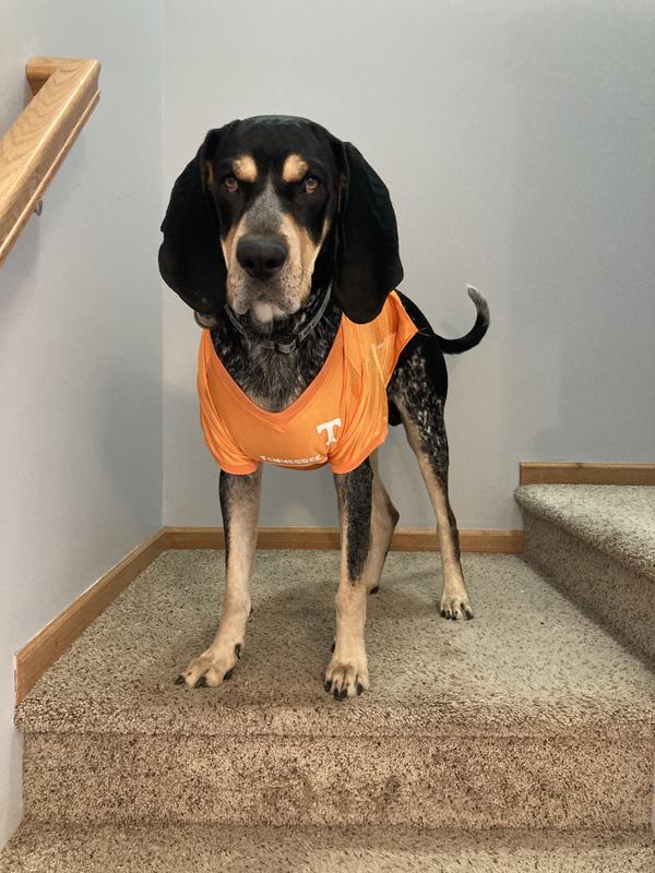 Clemson Tigers NCAA Official Replica Dog Jersey