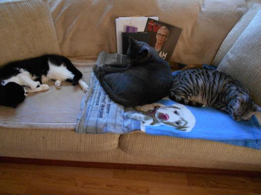 My three Babies!