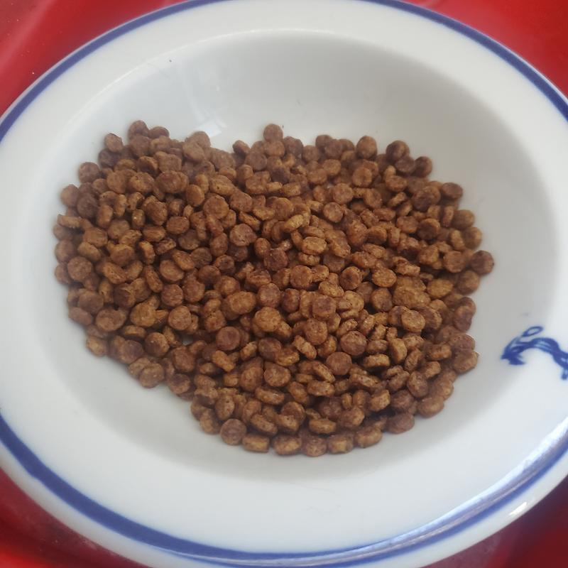 Very small pieces I wasn't really aware of that when I ordered it