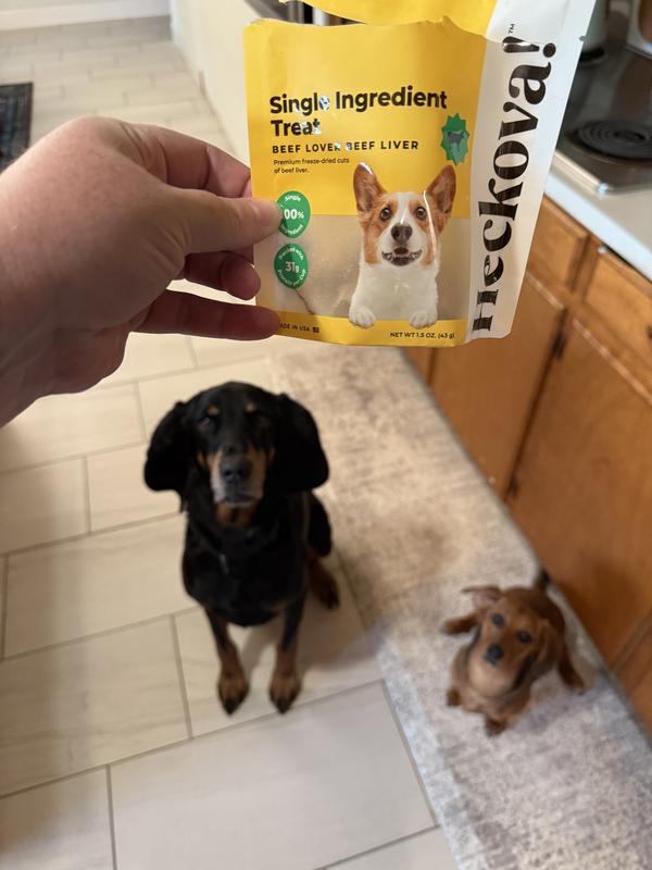 Zelda and Lenny sitting for their treats!