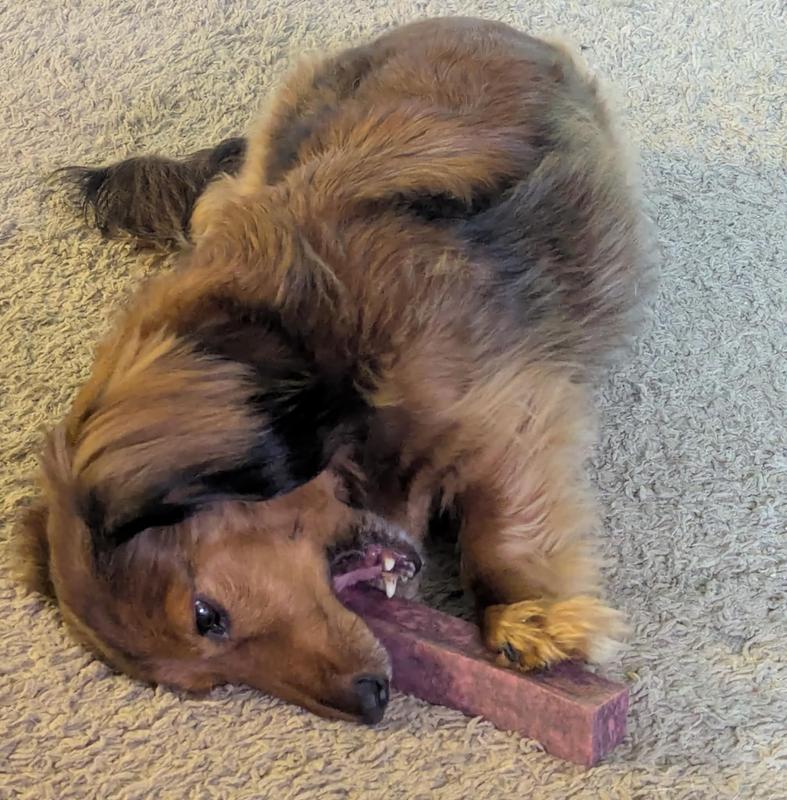 It's have as long as he is and taller than him!