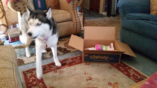 I got my Chewy box