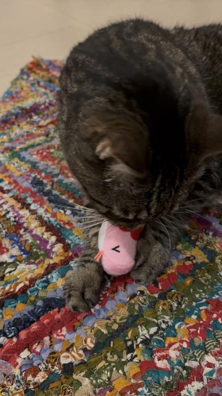 "Let's shake and bake this birdie"!