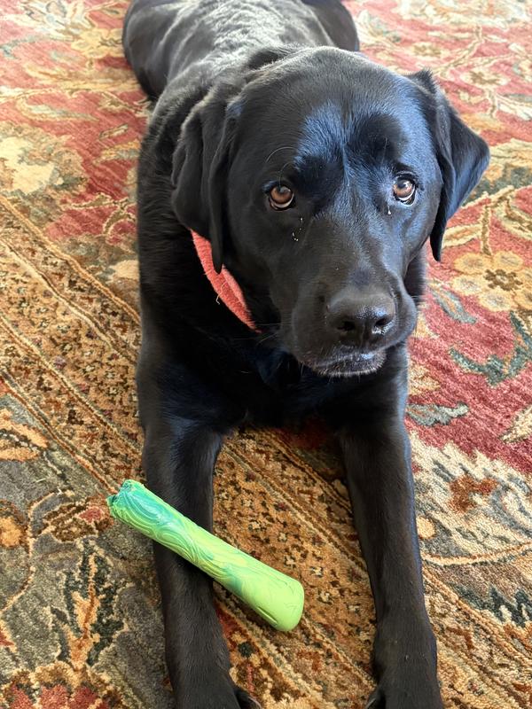 She is cute though…