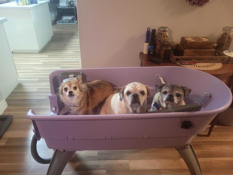 Extra large hotsell dog bath tub