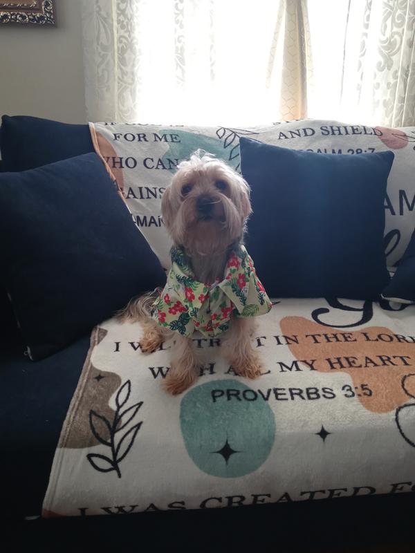 Adorable love bath baloo