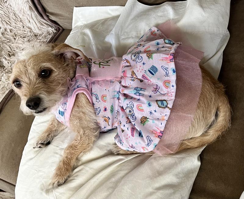 Staying in her Disney dress