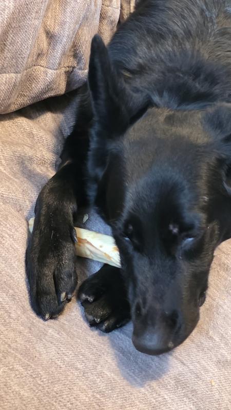 A fun midday snack for Storm