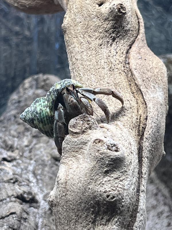 Jeremy testing it out.