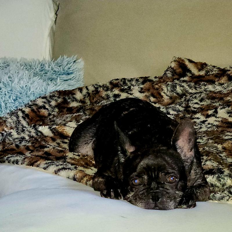 Savanah is feeling much better