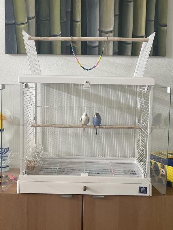 The cage stays open most of the day.