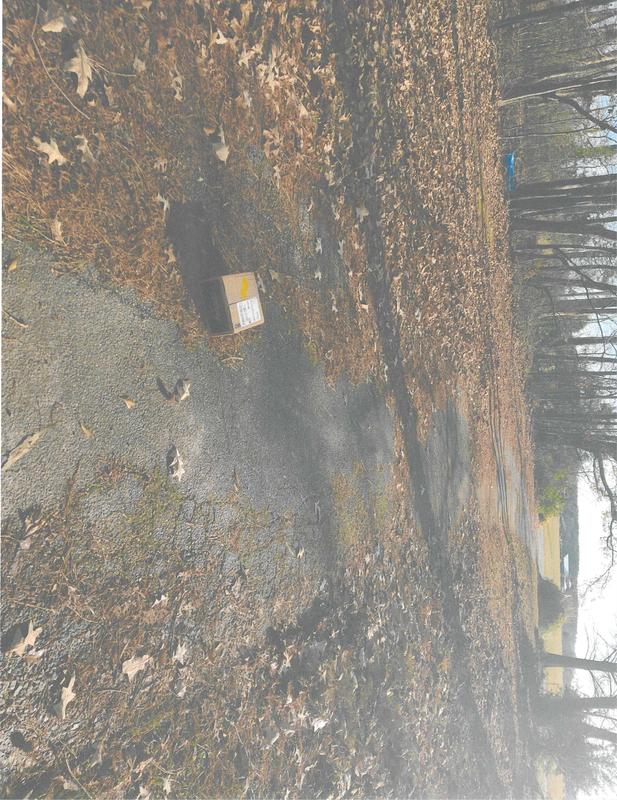 This is my Chewy delivery in the middle of my driveway not at my front door.