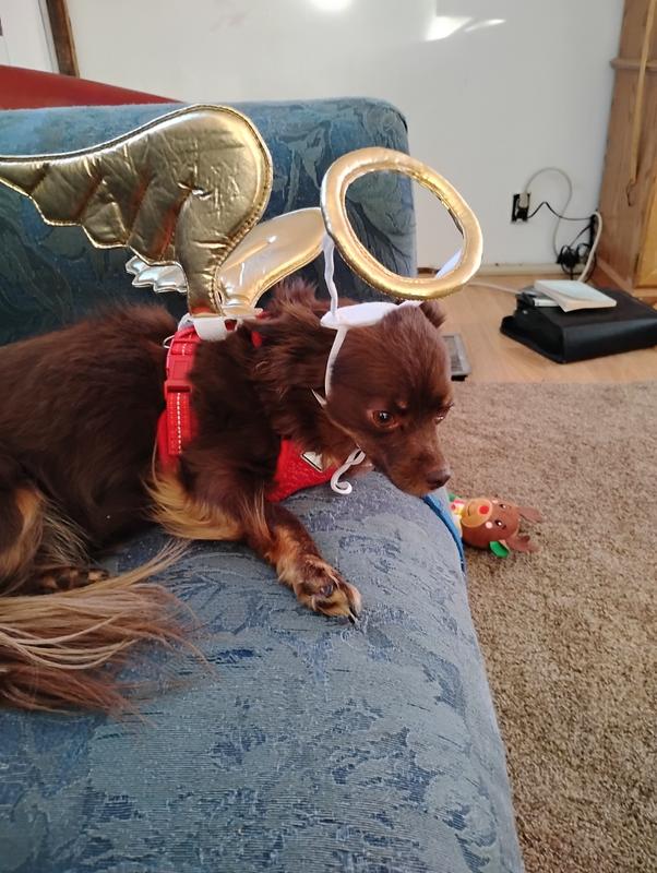 My baby angel and angel