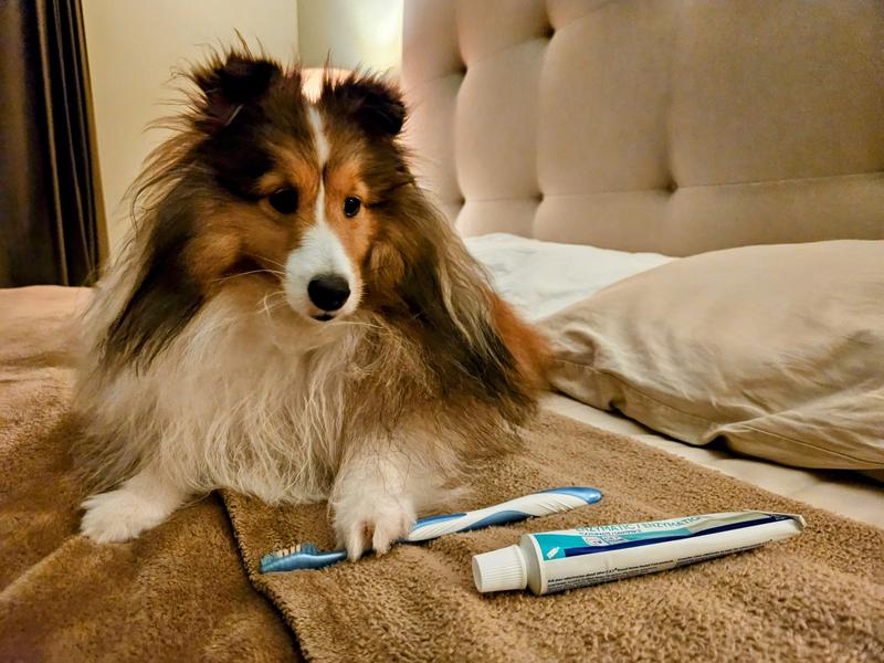 Don't care take my toothbrush!