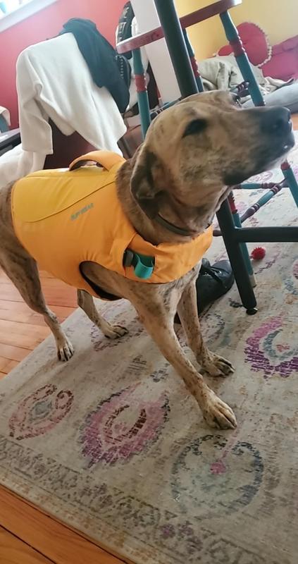 Nutmeg loves it too!