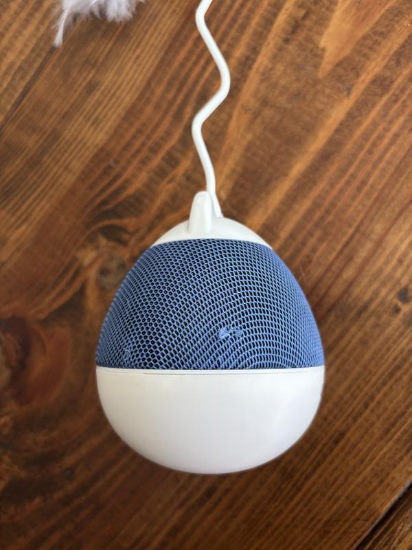 Mesh is already falling apart from kitty claws