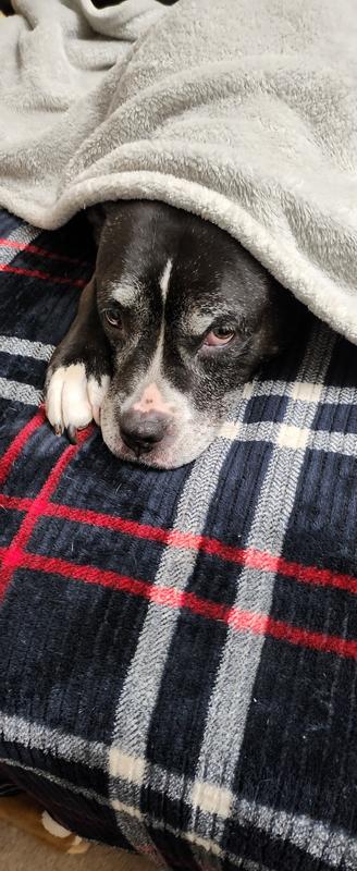 "Don't tell Mom, but I got up here all by myself!"