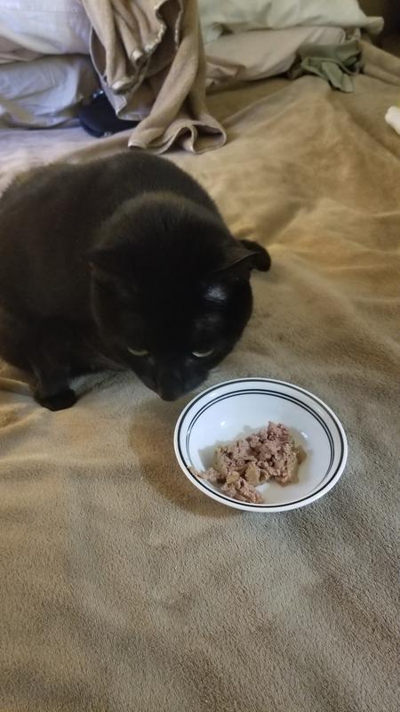 He is not sure it's edible