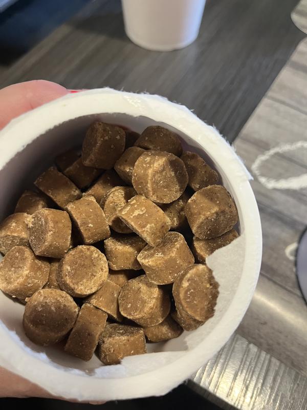 Pumpkin flavored