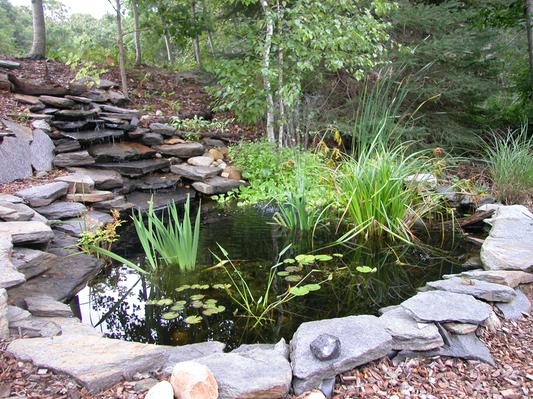 outdoor Koi pond