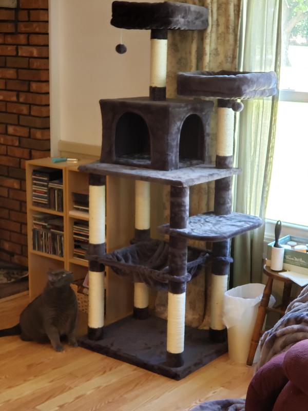 FRISCO 64in Cat Tree with Hammock, Condo, 2 Top Perches with Bed, Gray