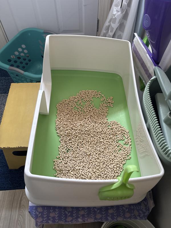 XL for multiple cats