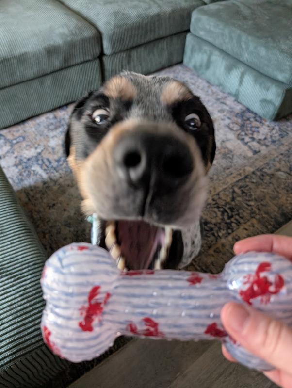 Big chomp!