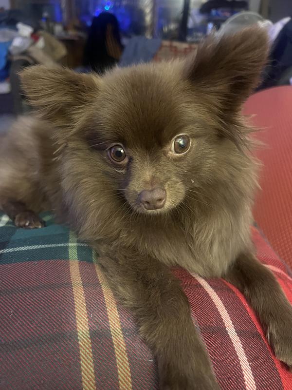 Waiting for his mommy to feed him