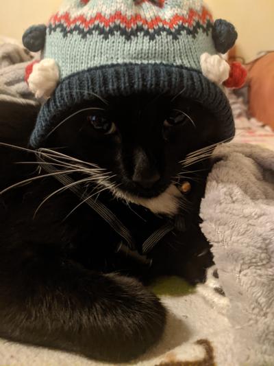 Baby Boots