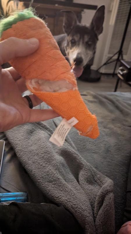 Out of the package ..and... destroyed