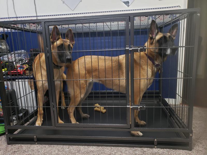 German Shepherd Dog Cage Crate Size For Belgian Malinois Heavy
