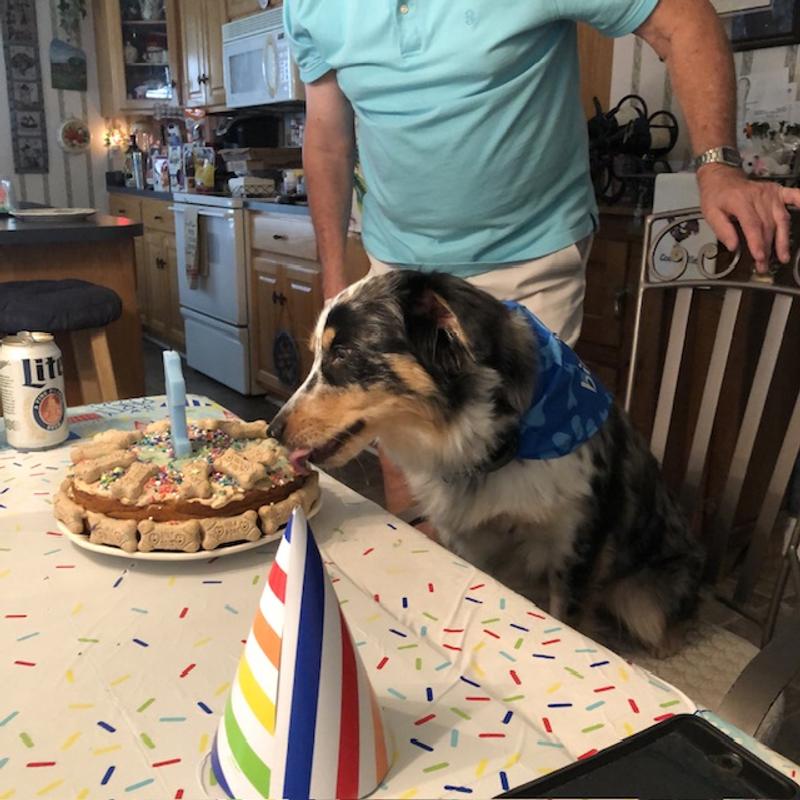 Rio’s Birthday Party