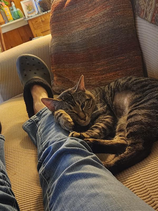 Manny showing affection