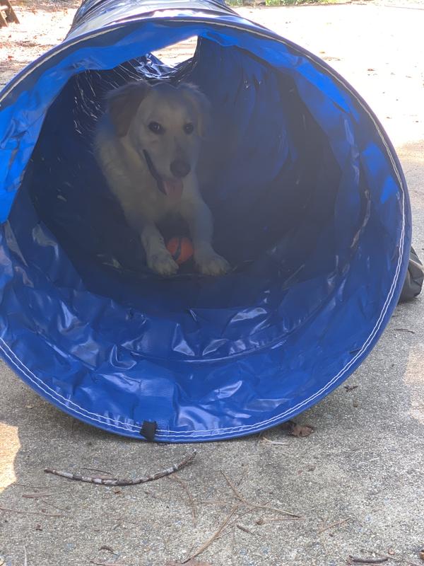 Exercise on a rainy day.