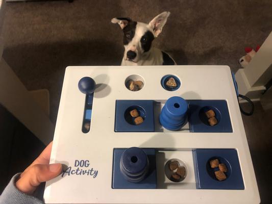 TRIXIE Dog Activity Mini Mover Strategy Game, Level 2 Dog Puzzle