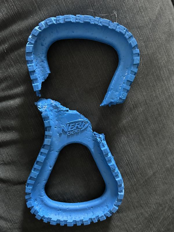 Was a Christmas present and was dead by the new year