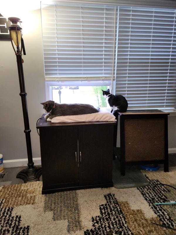 TRIXIE Wooden Cat Litter Box Enclosure, XLarge, White