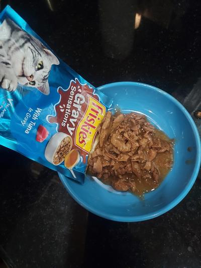 Friskies gravy sensations best sale