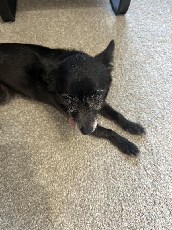 Chilling with mom after breakfast