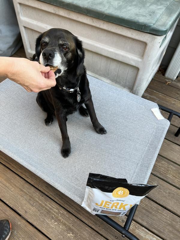 BONES & CHEWS All Natural GrainFree Jerky Made with Real Chicken Dog