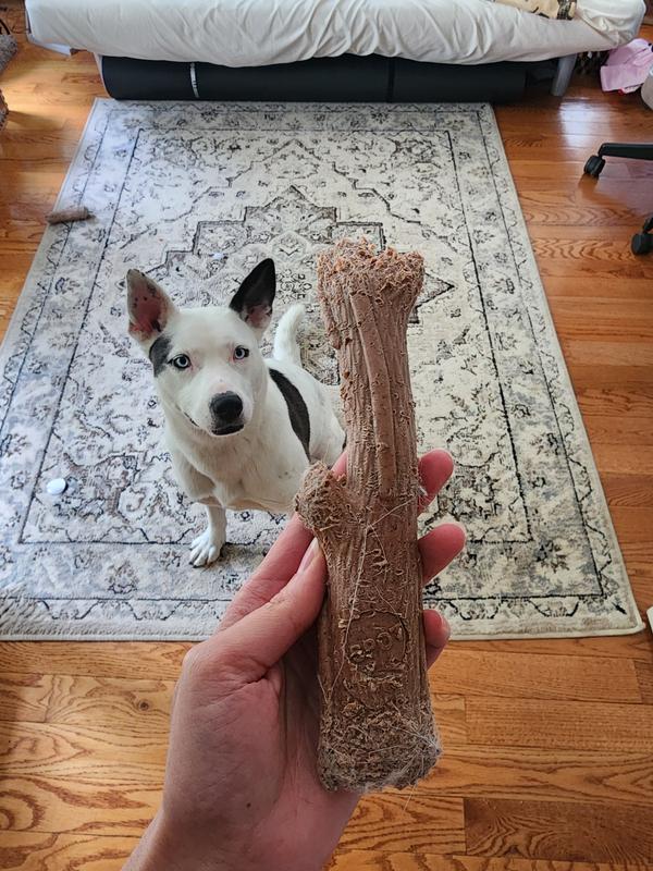 The "improved" toy and the artist herself