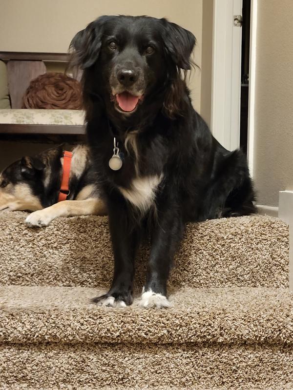 Here he is at 13 yrs old