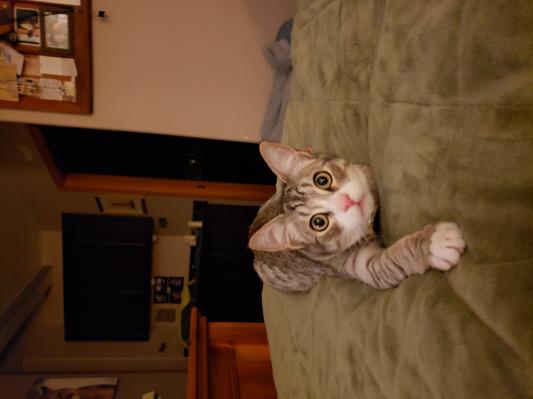 Always full of mischief