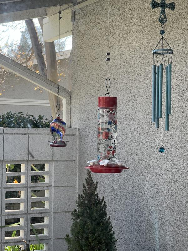 Inviting all Hummingbirds!