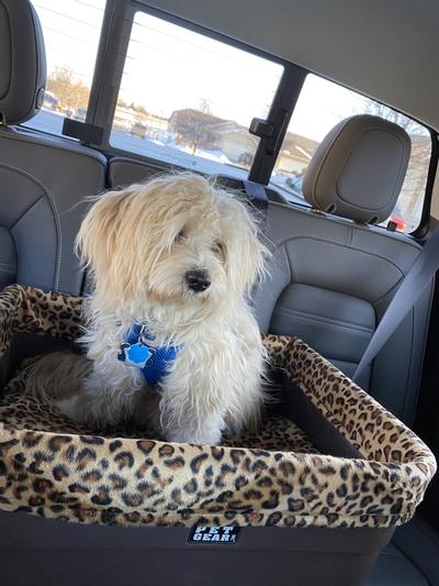 Pet Gear Dog & Cat Bucket Seat Booster