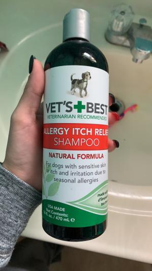 Vet's best allergy itch best sale relief shampoo