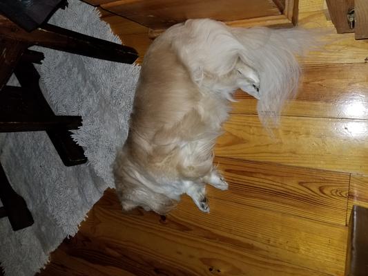 Belly full time to nap
