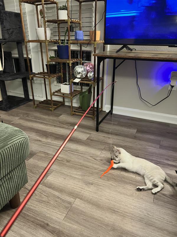 Nova with the wiggle worms