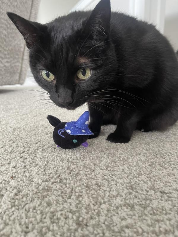Spooky boy and toy!
