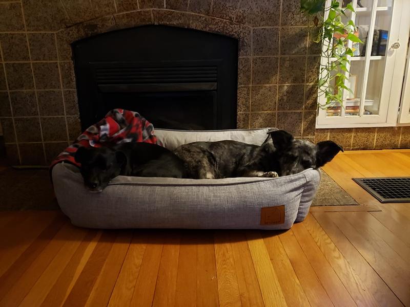 My Oscar with Cooling Energy Bed!